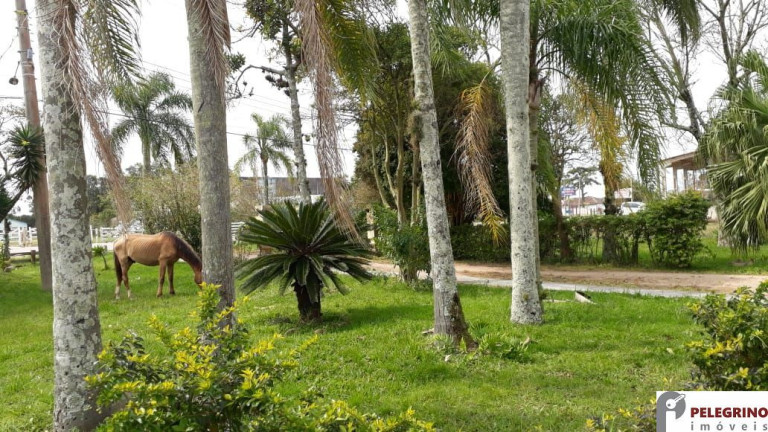 Casa com 5 Quartos à Venda, 411 m² em Centro - Tapes