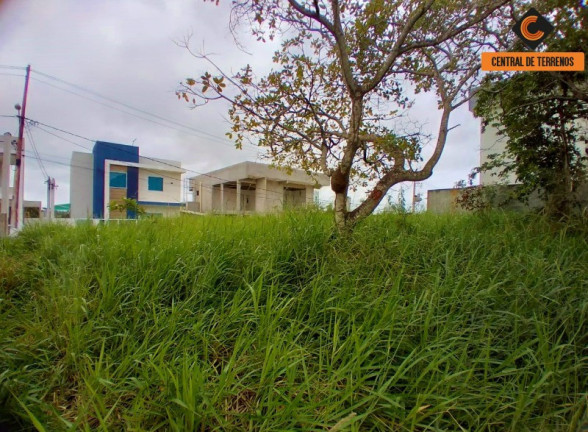 Terreno à Venda, 300 m² em Alto Do Bosque - Lauro De Freitas