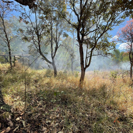 Imagem Chácara à Venda, 1.800 m² Imagem Chácara à Venda, 1.800 m²