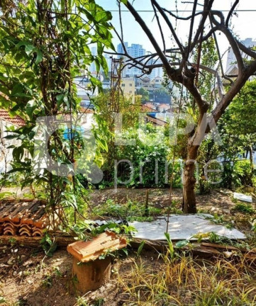 Imagem Terreno à Venda, 350 m² em Jardim São Paulo - São Paulo Imagem Terreno à Venda, 350 m² em Jardim São Paulo - São Paulo