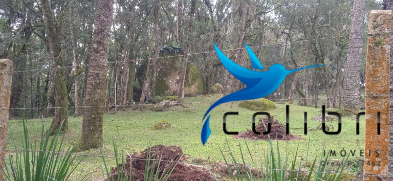 Imagem Chácara com 1 Quarto à Venda, 89.620 m² em Pedra Branca - Agudos Do Sul