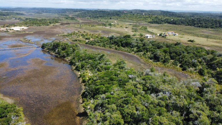 Imagem Chácara à Venda, 20.000 m² em Marau Imagem Chácara à Venda, 20.000 m² em Marau