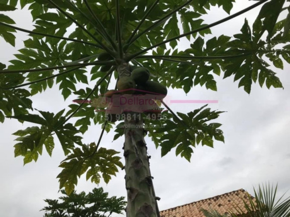 Imagem Chácara com 5 Quartos à Venda, 600 m² em Jardim Flamboyant - Boituva Imagem Chácara com 5 Quartos à Venda, 600 m² em Jardim Flamboyant - Boituva