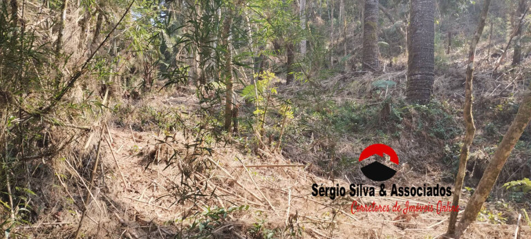 Imagem Terreno à Venda, 1 m² em Campos Do Jordão Imagem Terreno à Venda, 1 m² em Campos Do Jordão