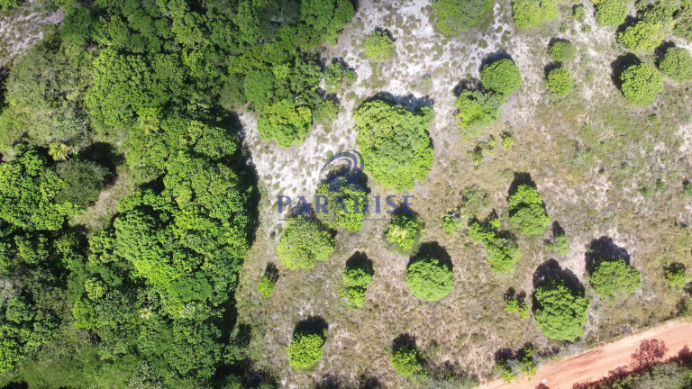 Imagem Fazenda à Venda, 592.700 m² em Monte Gordo (monte Gordo) - Camaçari