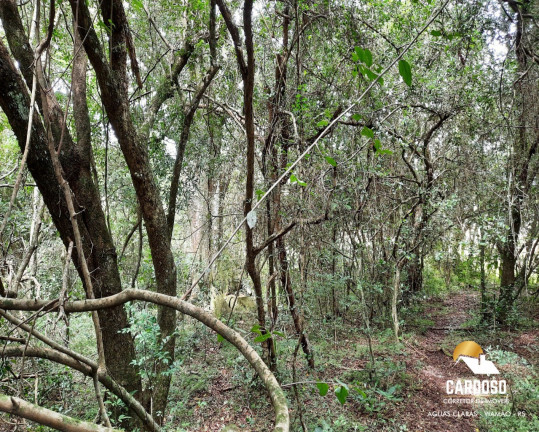 Imagem Imóvel com 3 Quartos à Venda, 17.000 m² em águas Claras - Viamão Imagem Imóvel com 3 Quartos à Venda, 17.000 m² em águas Claras - Viamão