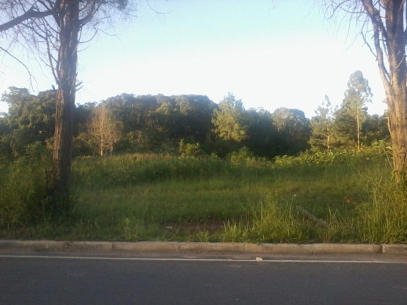 Terreno à Venda, 120.000 m² em Parque Santa Rita De Cássia - Cotia