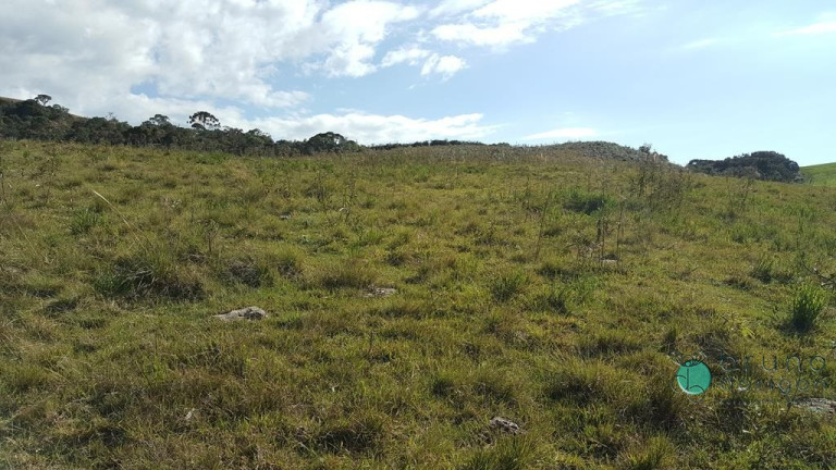 Imagem Terreno à Venda, 450.000 m² em Zona Rural - Bom Retiro Imagem Terreno à Venda, 450.000 m² em Zona Rural - Bom Retiro