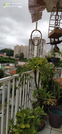 Imagem Apartamento com 1 Quarto à Venda, 36 m² em Cambuci - São Paulo