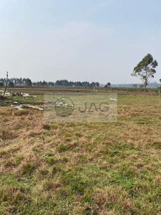 Imagem Terreno à Venda, 3.000 m² em Planta Santa Lúcia - Piraquara Imagem Terreno à Venda, 3.000 m² em Planta Santa Lúcia - Piraquara