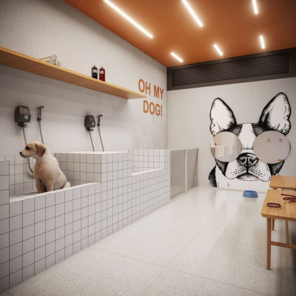 Imagem Imóvel com 2 Quartos à Venda,  em Vila Tolstoi - São Paulo