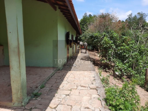 Imagem Chácara com 3 Quartos à Venda, 229 m² em Centro - Santa Branca Imagem Chácara com 3 Quartos à Venda, 229 m² em Centro - Santa Branca