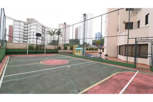 Imagem Apartamento com 4 Quartos à Venda, 143 m² em Jardim Colombo - São Paulo Imagem Apartamento com 4 Quartos à Venda, 143 m² em Jardim Colombo - São Paulo