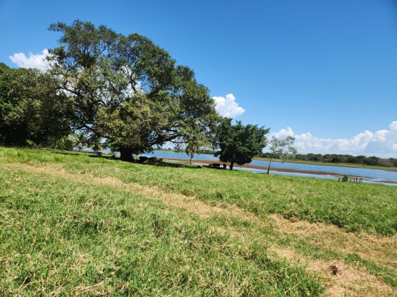 Imagem Fazenda à Venda, 800 m² em Zona Rural - Santo Antônio Do Aracanguá Imagem Fazenda à Venda, 800 m² em Zona Rural - Santo Antônio Do Aracanguá