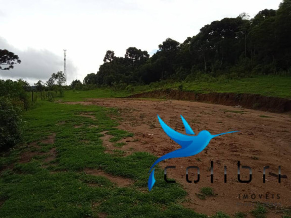 Imagem Terreno à Venda, 3.785 m² em Pinheiro Ocado - Agudos Do Sul