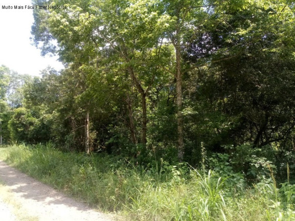 Terreno à Venda, 3 m² em Linha Pirajá Baixa - Nova Petrópolis