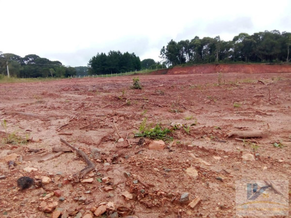 Imagem Terreno à Venda, 4.411 m² em Campo Largo Da Roseira - São José Dos Pinhais Imagem Terreno à Venda, 4.411 m² em Campo Largo Da Roseira - São José Dos Pinhais