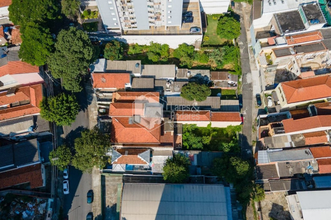 Imagem Terreno à Venda, 700 m² em Vila Anglo Brasileira - São Paulo Imagem Terreno à Venda, 700 m² em Vila Anglo Brasileira - São Paulo