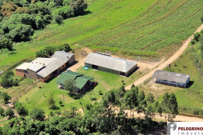 Imagem Imóvel com 3 Quartos à Venda, 80.000 m² em Zona Rural - Sentinela Do Sul Imagem Imóvel com 3 Quartos à Venda, 80.000 m² em Zona Rural - Sentinela Do Sul