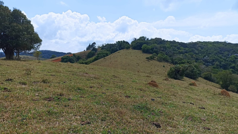 Imagem Chácara com 1 Quarto à Venda, 10 m² em Capim Da Angola - Paraibuna Imagem Chácara com 1 Quarto à Venda, 10 m² em Capim Da Angola - Paraibuna