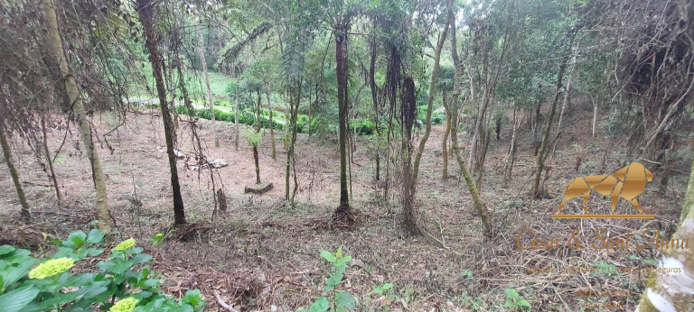Imagem Terreno à Venda, 1.050 m² em Alto Da Boa Vista - Campos Do Jordão Imagem Terreno à Venda, 1.050 m² em Alto Da Boa Vista - Campos Do Jordão
