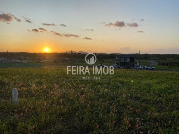Imagem Terreno à Venda, 408 m² em Novo Horizonte - Feira De Santana Imagem Terreno à Venda, 408 m² em Novo Horizonte - Feira De Santana