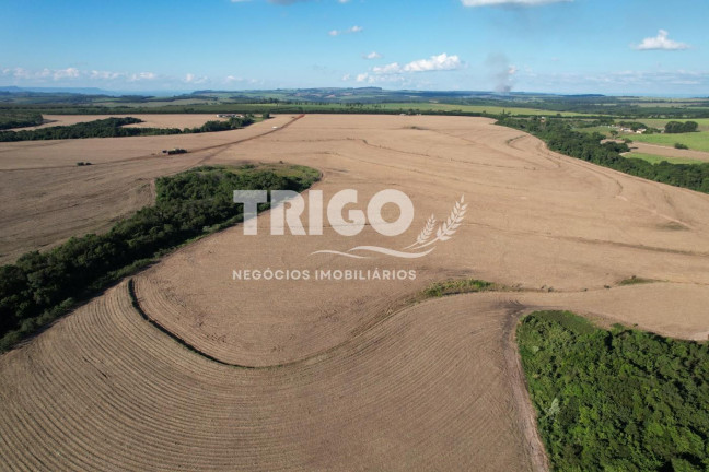 Imagem Fazenda à Venda, 90 m² em Zona Rural - Santa Rosa De Viterbo Imagem Fazenda à Venda, 90 m² em Zona Rural - Santa Rosa De Viterbo