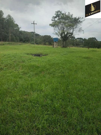 Imagem Imóvel com 2 Quartos à Venda, 23.376 m² em Bairro Preto - Lapa