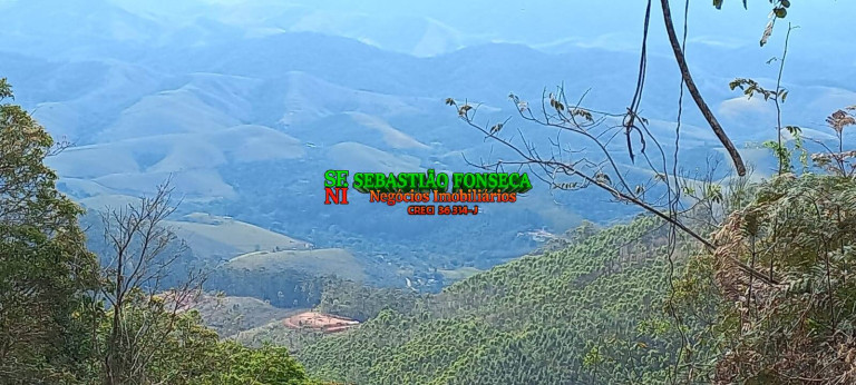 Chácara à Venda, 20.000 m² em Centro - Monteiro Lobato