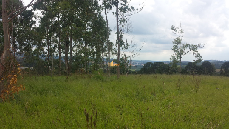 Imagem Terreno à Venda,  em Limal - Piedade