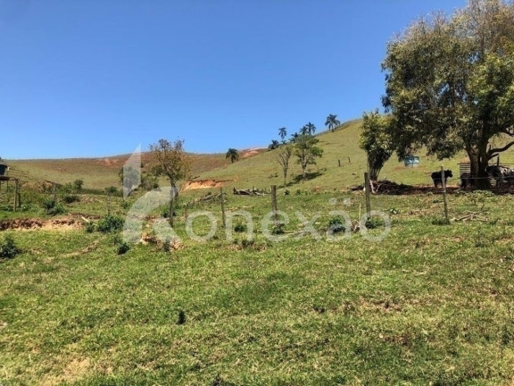 Imagem Chácara com 3 Quartos à Venda, 200 m² em Sao Germano - Paraibuna Imagem Chácara com 3 Quartos à Venda, 200 m² em Sao Germano - Paraibuna