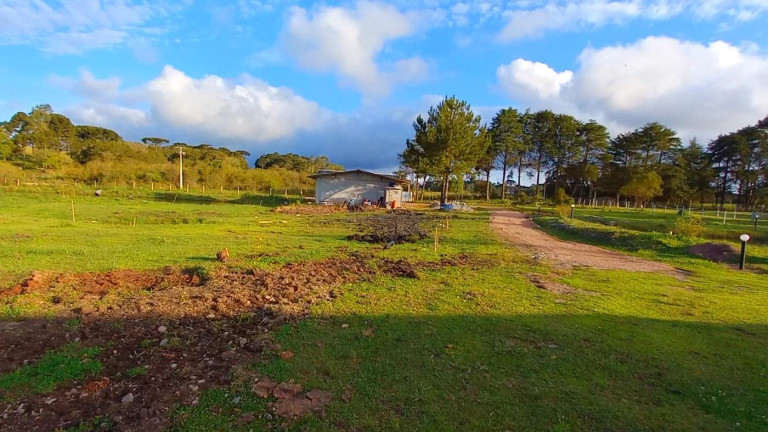 Imagem Chácara à Venda, 32.800 m² em Ambrósio - Tijucas Do Sul Imagem Chácara à Venda, 32.800 m² em Ambrósio - Tijucas Do Sul