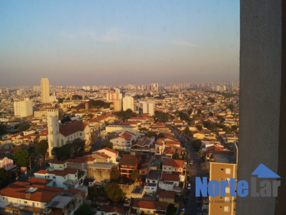 Imagem Apartamento com 2 Quartos à Venda, 54 m² em Vila Pereira Barreto - São Paulo Imagem Apartamento com 2 Quartos à Venda, 54 m² em Vila Pereira Barreto - São Paulo