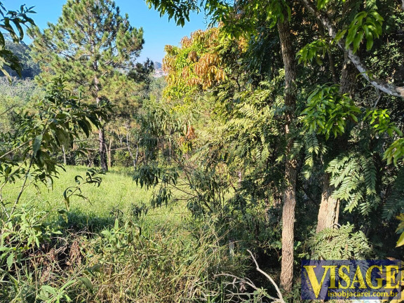 Imagem Terreno à Venda, em Chácaras Reunidas Igarapés - Jacareí Imagem Terreno à Venda, em Chácaras Reunidas Igarapés - Jacareí