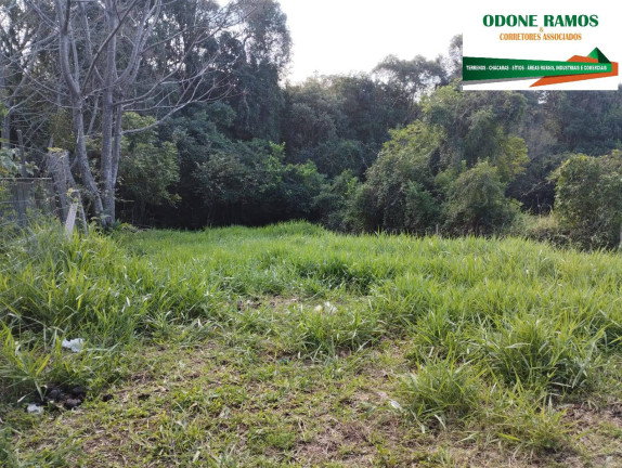 Imagem Terreno à Venda, 350 m² em Califórnia - Nova Santa Rita Imagem Terreno à Venda, 350 m² em Califórnia - Nova Santa Rita