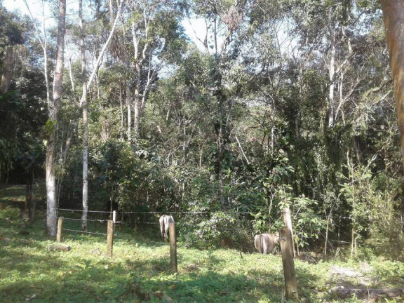 Imagem Terreno em Condomínio à Venda, 360 m² em Sertão Da Quina - Ubatuba Imagem Terreno em Condomínio à Venda, 360 m² em Sertão Da Quina - Ubatuba