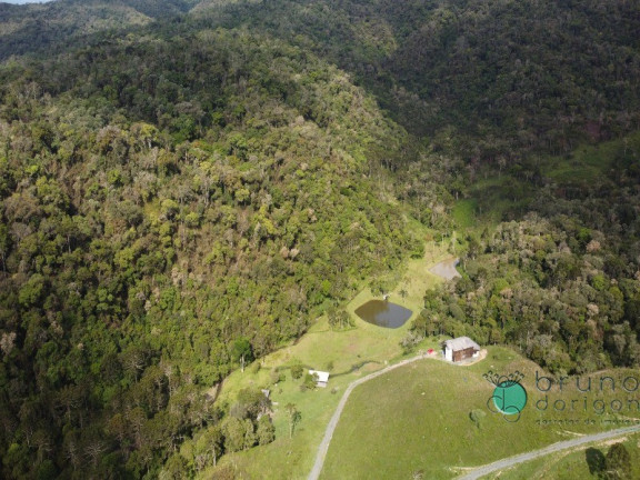 Imagem Imóvel com 3 Quartos à Venda, 350.000 m² em Zona Rural - Bom Retiro