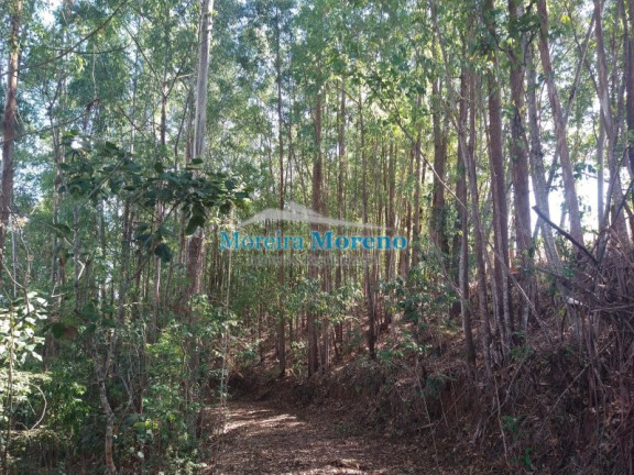 Imagem Imóvel à Venda, 9.000 m² em Zona Rural - Borda Da Mata Imagem Imóvel à Venda, 9.000 m² em Zona Rural - Borda Da Mata