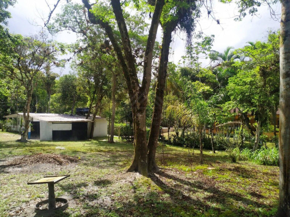 Imagem Chácara com 3 Quartos à Venda, 1 m² em Jardim Coronel - Itanhaém Imagem Chácara com 3 Quartos à Venda, 1 m² em Jardim Coronel - Itanhaém