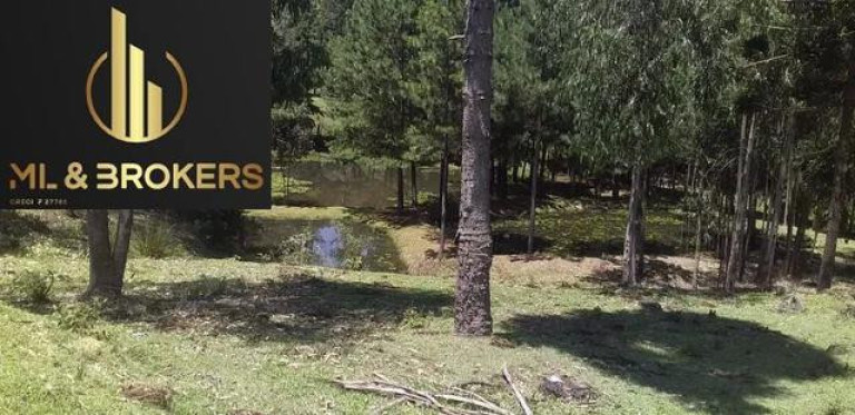 Imagem Imóvel com 2 Quartos à Venda, 81.000 m² em Agua Amarela - Antonio Olinto