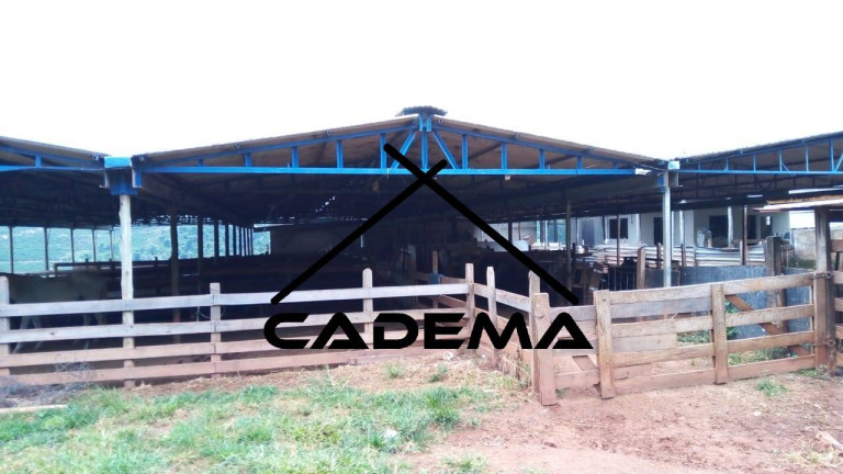 Imagem Chácara com 3 Quartos à Venda, 32 m² em Area Rural - Itapira