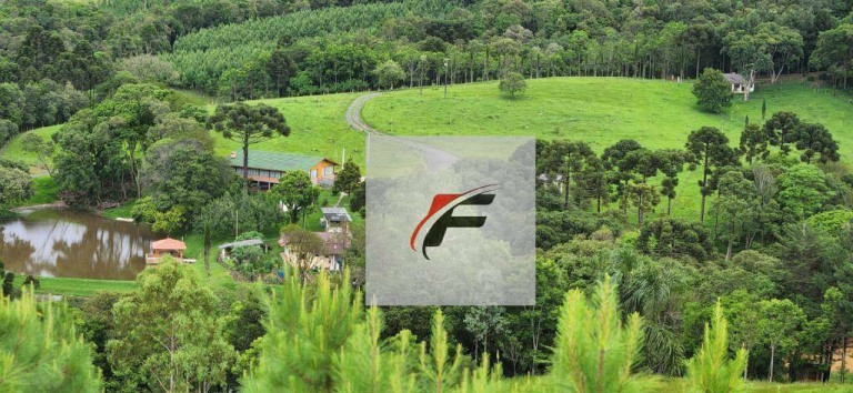 Imagem Chácara com 3 Quartos à Venda, 305.000 m² em Zona Rural - Tijucas Do Sul