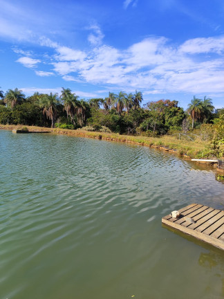 Imagem Terreno à Venda, 1.000 m² em 80.000,00//são José De Almeida - São José De Almeida Imagem Terreno à Venda, 1.000 m² em 80.000,00//são José De Almeida - São José De Almeida