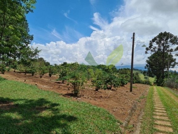Imagem Chácara com 5 Quartos à Venda, 12.100 m² em Piracaia - Piracaia Imagem Chácara com 5 Quartos à Venda, 12.100 m² em Piracaia - Piracaia
