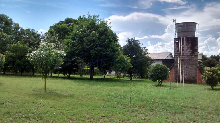 Imagem Fazenda à Venda, 8.400 m² em Zona Rural - Tambaú Imagem Fazenda à Venda, 8.400 m² em Zona Rural - Tambaú