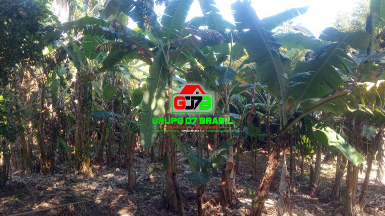 Imagem Chácara à Venda, 6 m² em área Rural De Caçapava - Caçapava Imagem Chácara à Venda, 6 m² em área Rural De Caçapava - Caçapava
