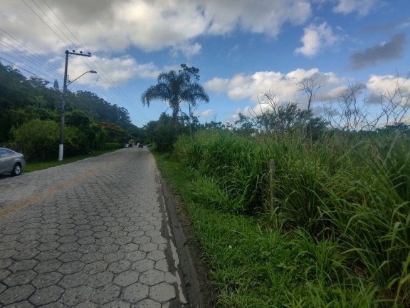 Imagem Terreno à Venda, 12.000 m² em Ratones - Florianópolis Imagem Terreno à Venda, 12.000 m² em Ratones - Florianópolis