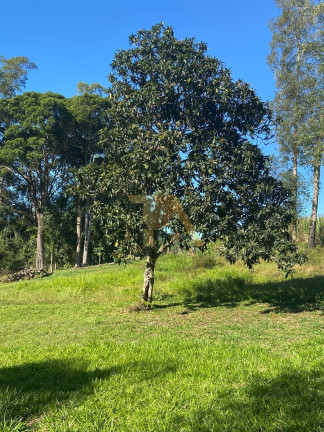Imagem Fazenda à Venda, em Imaruí - Imaruí Imagem Fazenda à Venda, em Imaruí - Imaruí