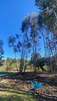 Imagem Chácara com 3 Quartos à Venda, 9.750 m² em Ribeirão Grande - Agudos Do Sul
