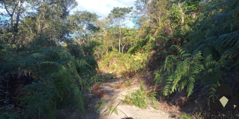 Imagem Imóvel à Venda, 20.000 m² em Condomínio Rural Estancias Vera Cruz De Caeté - Caeté Imagem Imóvel à Venda, 20.000 m² em Condomínio Rural Estancias Vera Cruz De Caeté - Caeté